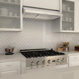 ZLINE 30 in. Ducted Under Cabinet Range Hood in Stainless Steel (623-30)