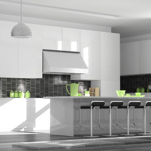 ZLINE 30 in. Convertible Vent Under Cabinet Range Hood in Stainless Steel (523-30)