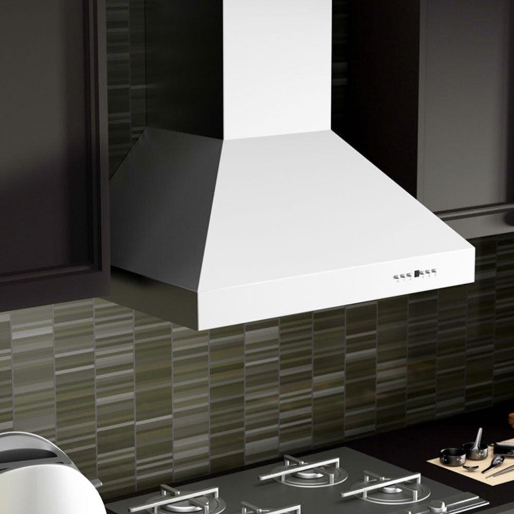 ZLINE 36 in. Ducted Wall Mount Range Hood in Outdoor Approved Stainless Steel (697-304-36)