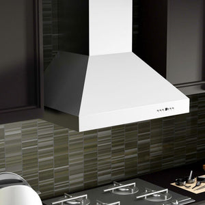 ZLINE 36 in. Ducted Wall Mount Range Hood in Outdoor Approved Stainless Steel (697-304-36)
