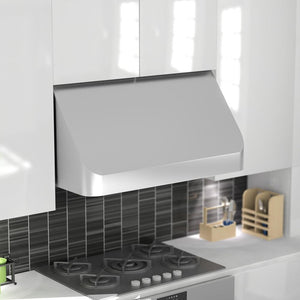 ZLINE 30 in. Convertible Vent Under Cabinet Range Hood in Stainless Steel (520-30)