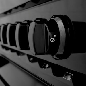 ZLINE 60 in. 7.4 cu. ft. Legacy Dual Fuel Range with 9 Burner Gas Cooktop and 2 Electric Convection Ovens in Black Stainless Steel (RAB-60) knobs detail.