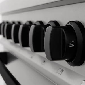 ZLINE Autograph Edition 30 in. 4.0 cu. ft. Legacy Dual Fuel Range with 4 Burner Gas Cooktop and Electric Convection Oven in Stainless Steel and Matte Black Accents (RAZ-30-MB) knobs detail.