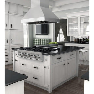 ZLINE Ducted Island Mount Range Hood in Outdoor Approved Stainless Steel (597i-304) rendering in a modern kitchen.