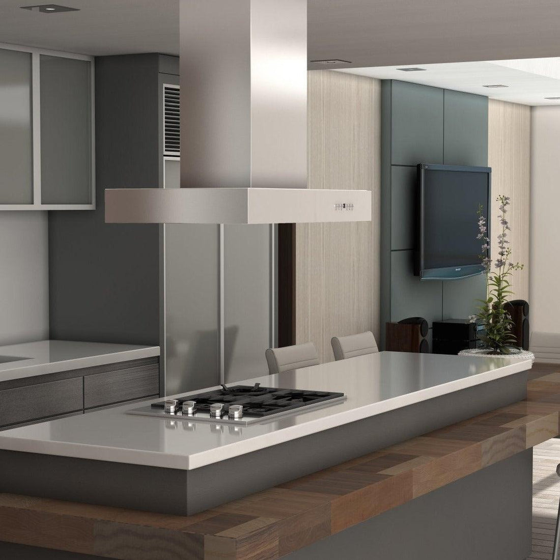 ZLINE Outdoor LowProfile Island Range Hood ZLINE